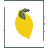 Project 2 Little Lemon